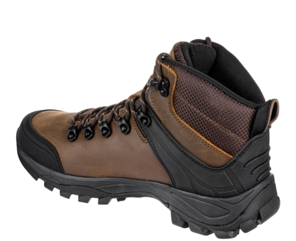 511357_1094040240_CASTOR_O2_NM_High_8.png